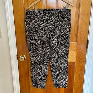 J Crew Winnie pant size 12
